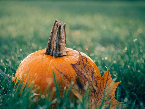 Halloween en cuisine